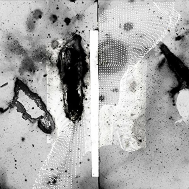 Audio Vipassana Certain Creatures