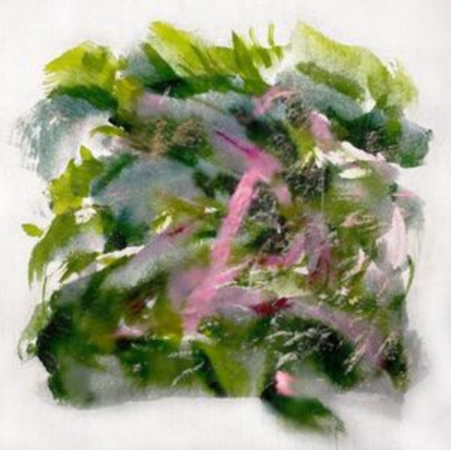 Аудио Forest Scenes MIZU