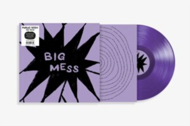 Audio Big Mess Public Body