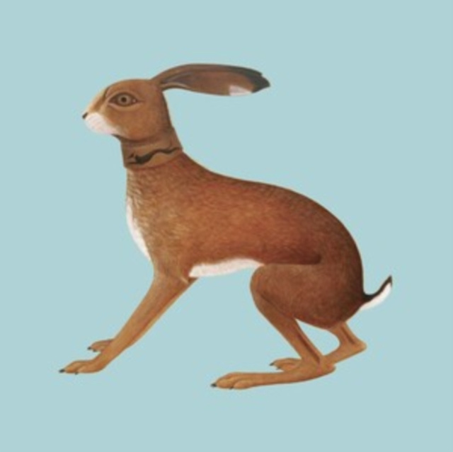 Audio Lookaftering Vashti Bunyan