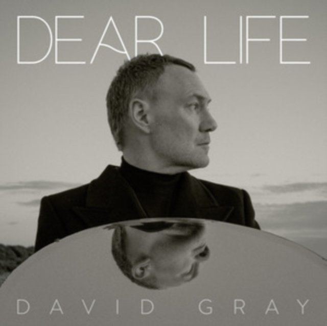 Audio Dear Life David Gray