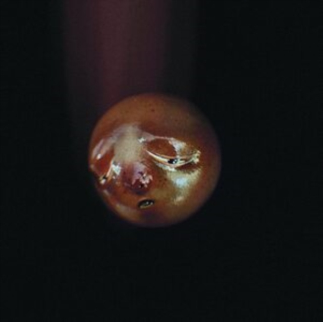 Audio Mole poolblood