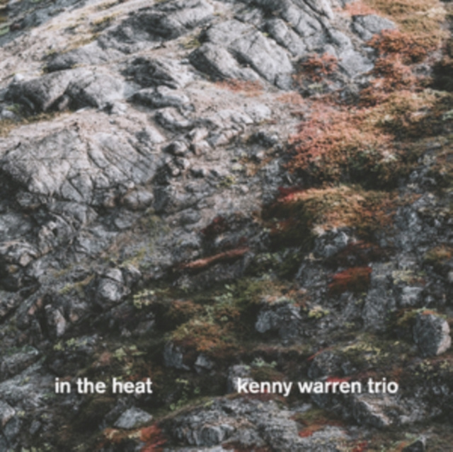 Аудио In the Heat Kenny Warren Trio