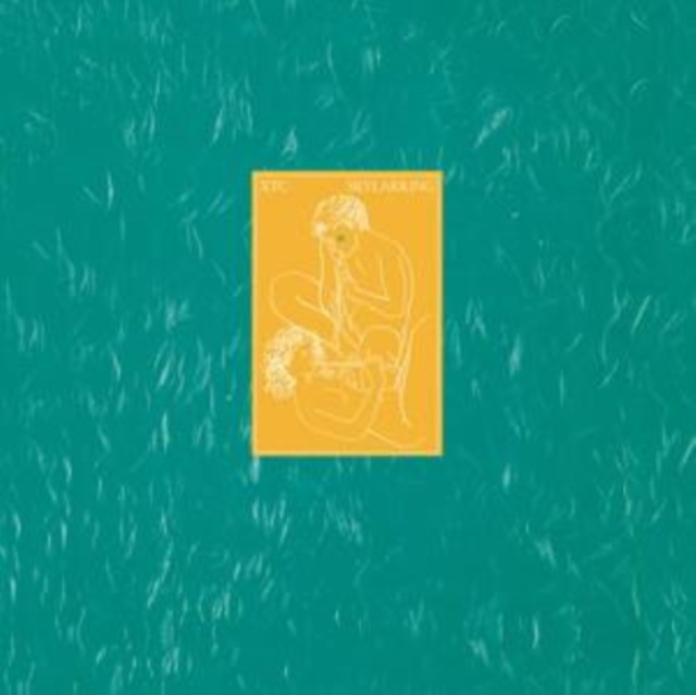 Аудио Skylarking XTC