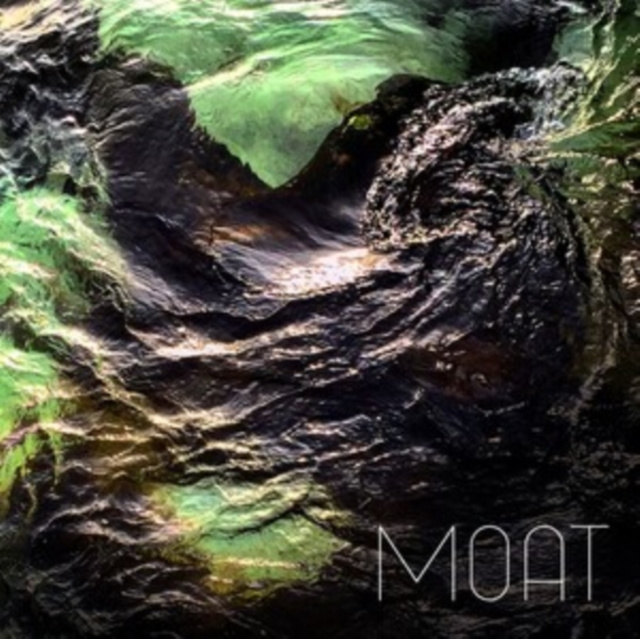 Audio Poison Stream Moat