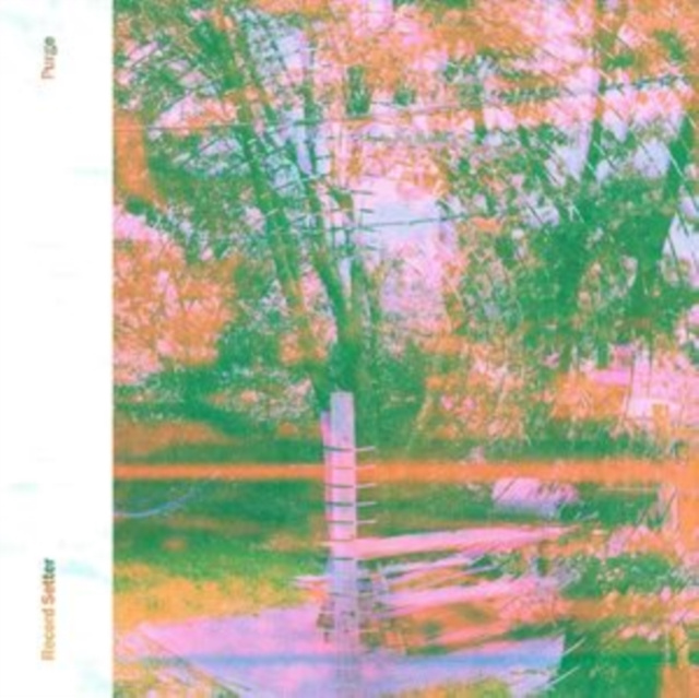 Audio Purge Record Setter