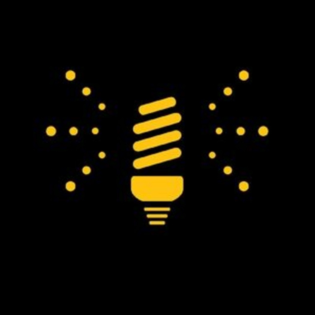 Аудио Lightbulbs Fujiya and Miyagi