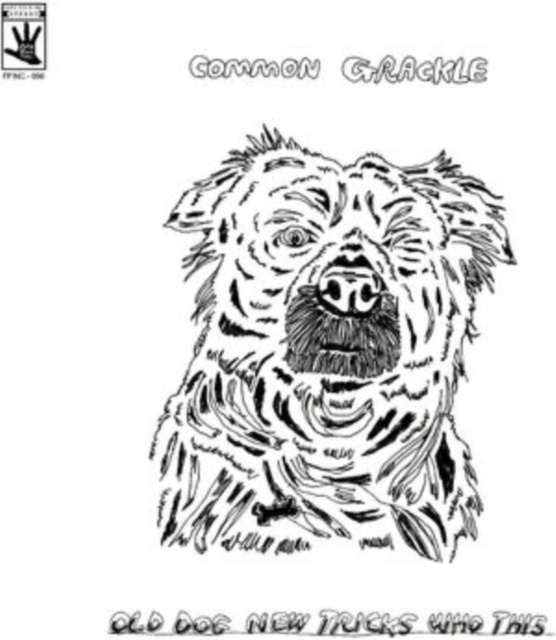 Audio Old Dog New Tricks How This Common Grackle
