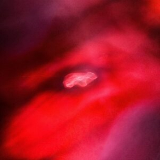 Аудио The Faded Orbit Siavash Amini & Saffronkeira