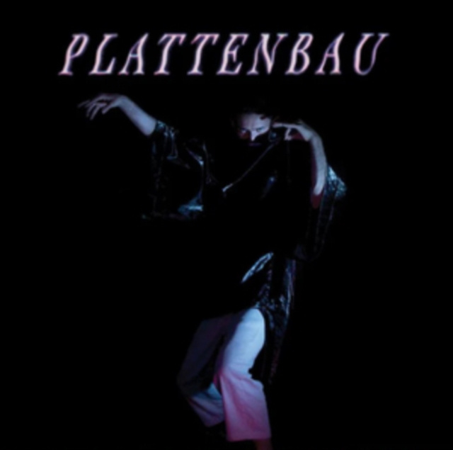 Audio Shape/Shifting Plattenbau