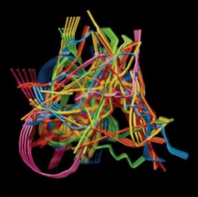 Audio Perpetual Morphosis Dustin Wong