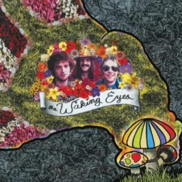 Audio Combing the Cloud The Waking Eyes