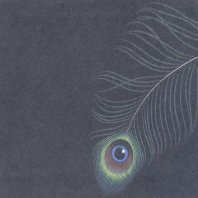 Audio Circles [us Import] Unwed Sailor