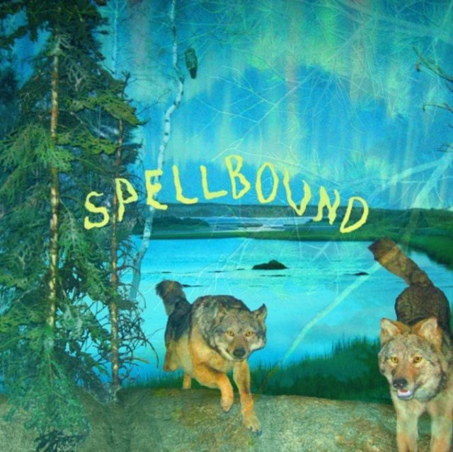 Audio Spellbound Boyscott