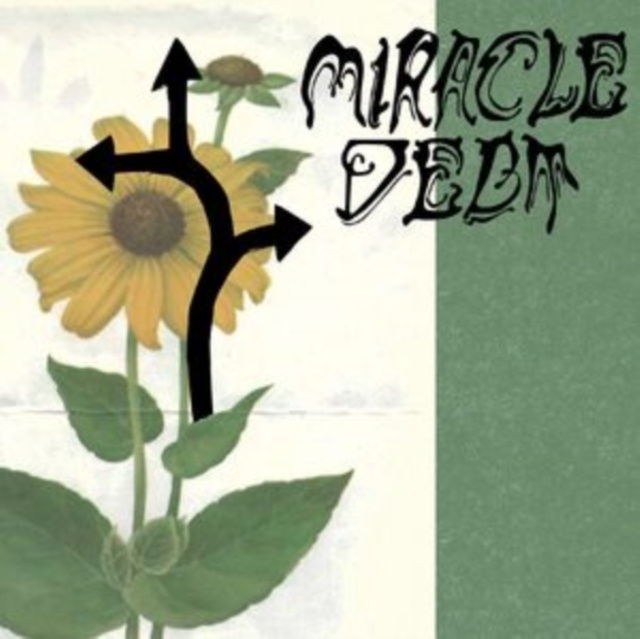 Audio Under the Shadow Miracle Debt