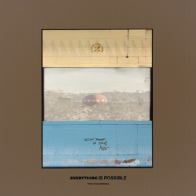 Audio Everything Is Possible Peace Flag Ensemble