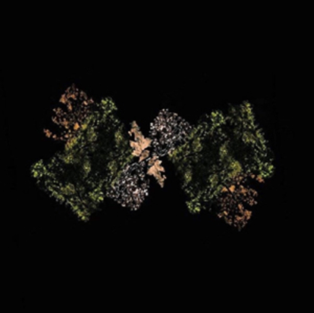 Audio Woodsman Woodsman