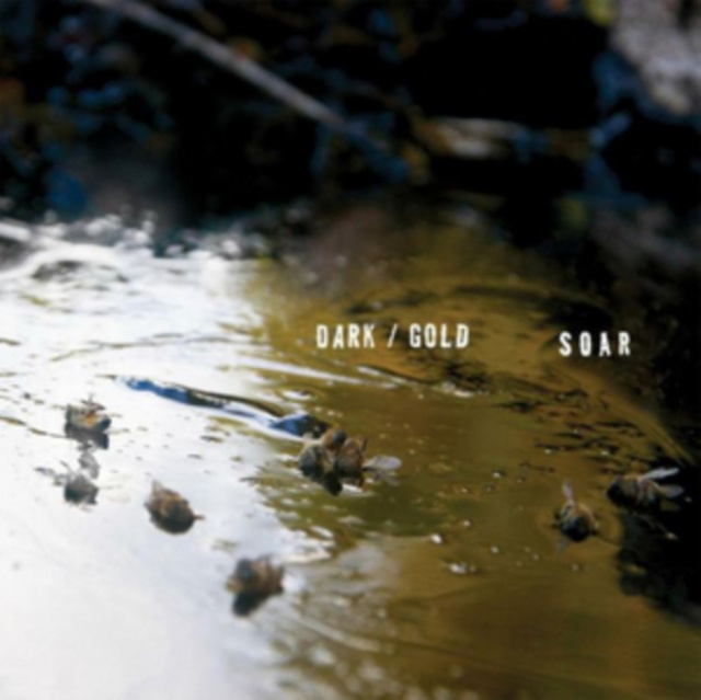 Аудио Dark/Gold Soar