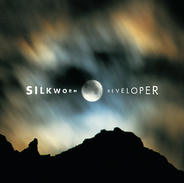 Audio Developer Silkworm