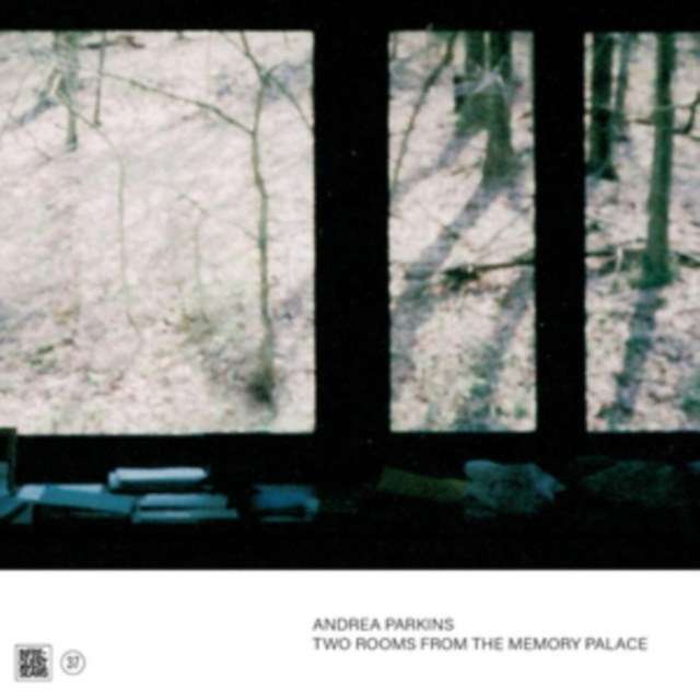 Audio Two Rooms from the Memory Palace Andrea Parkins