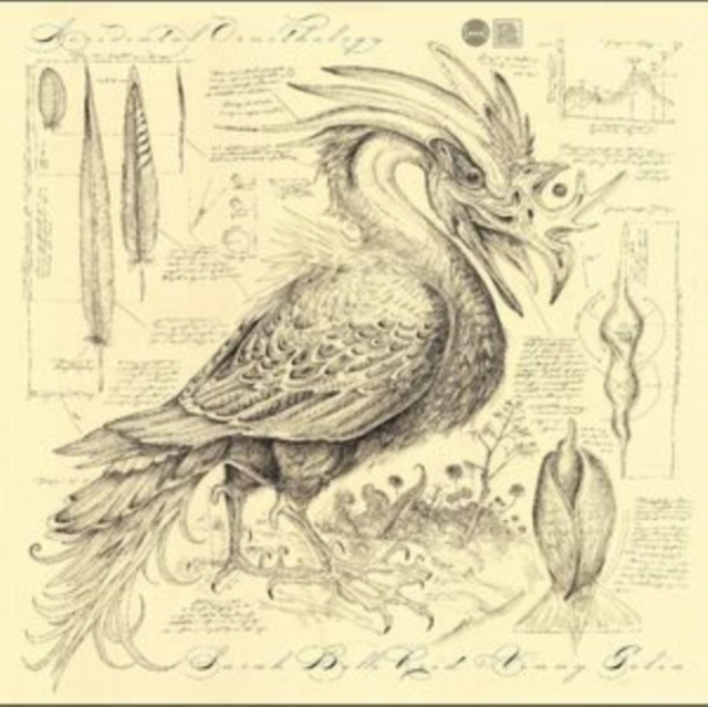 Audio Accidental Ornithology Sarah Belle Reid & Vinny Golia