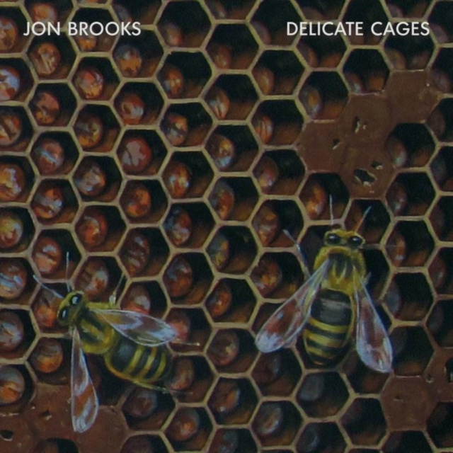 Audio Delicate Cages Jon Brooks