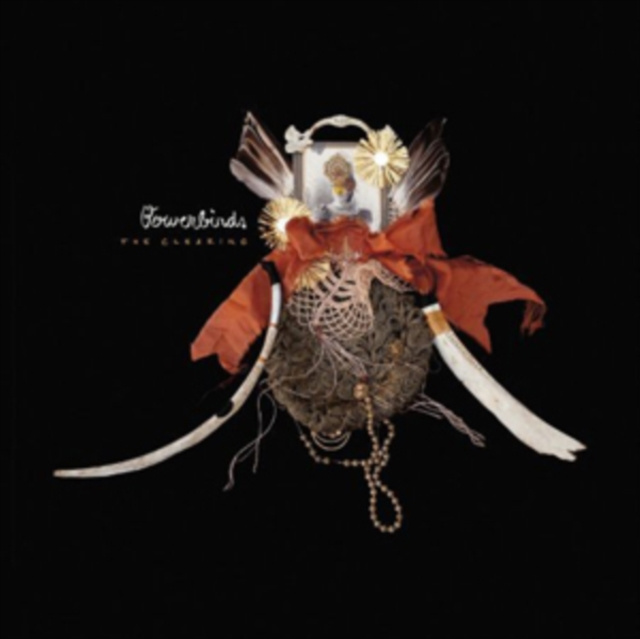 Audio The Clearing Bowerbirds