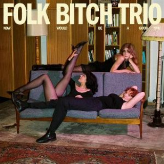 Audio Now Would Be a Good Time Folk Bitch Trio