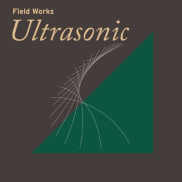 Audio Ultrasonic Field Works