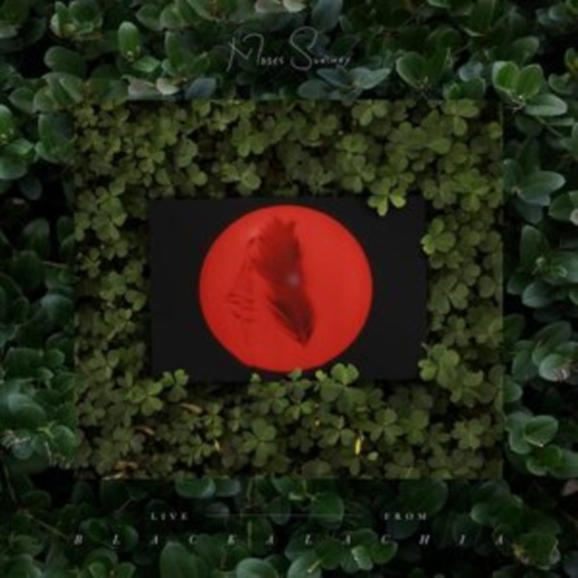 Audio Live from Blackalachia Moses Sumney