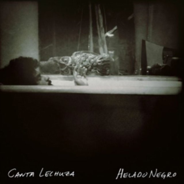 Audio Canta Lechuza Helado Negro