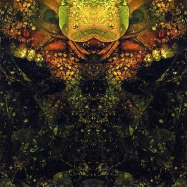 Audio Edward's Lament House of Low Culture
