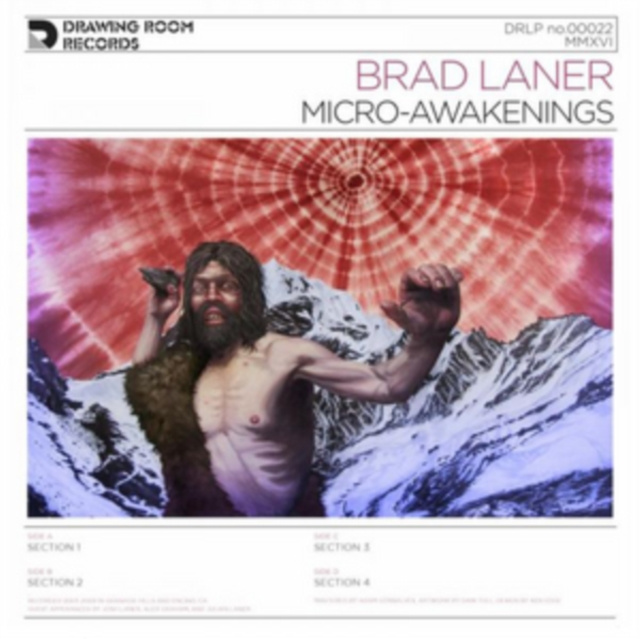 Audio Micro-awakenings Brad Laner