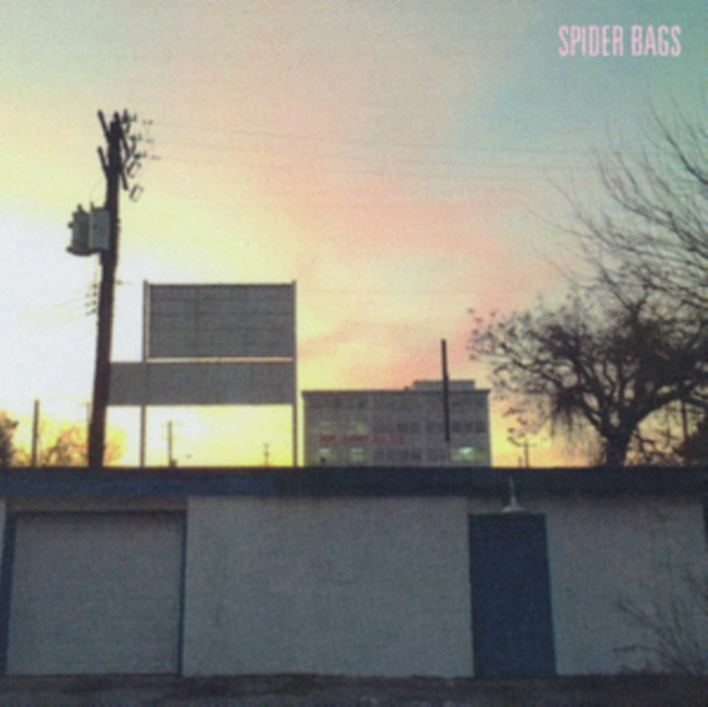 Audio Someday Everything Will Be Fine Spider Bags