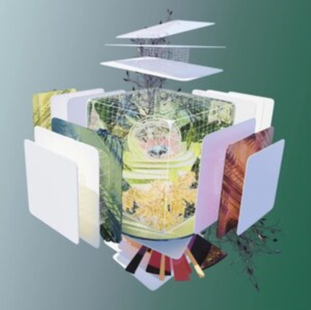Audio Gold Arc/Construction Tomato Flower