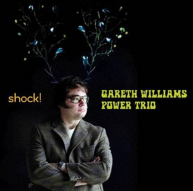 Audio Shock! Gareth Williams Power Trio