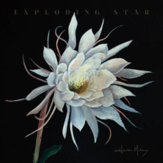 Audio Exploding Star Heather Maloney