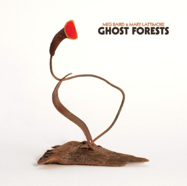 Audio Ghost Forests Meg Baird & Mary Lattimore