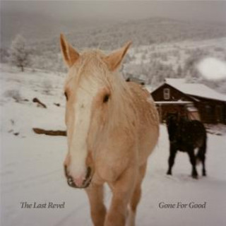 Audio Gone for Good The Last Revel