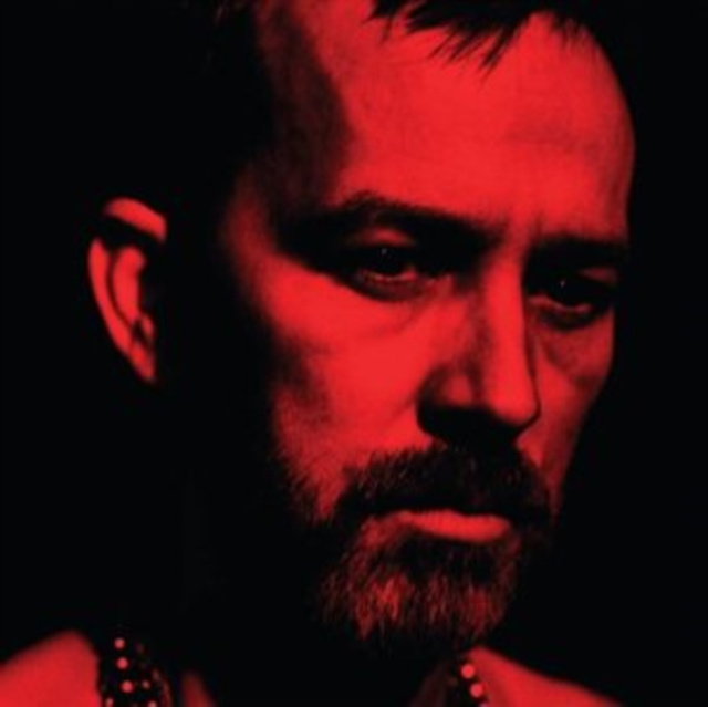 Audio The Social Animals Duquette Johnston