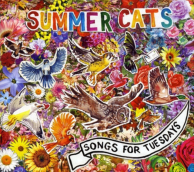 Audio Songs for Tuesdays Summer Cats