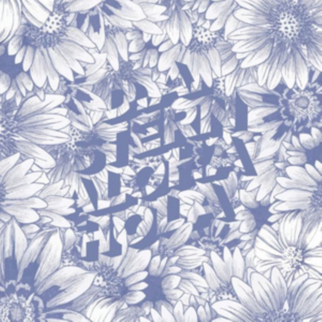 Audio Aloha Hola D. A. Stern