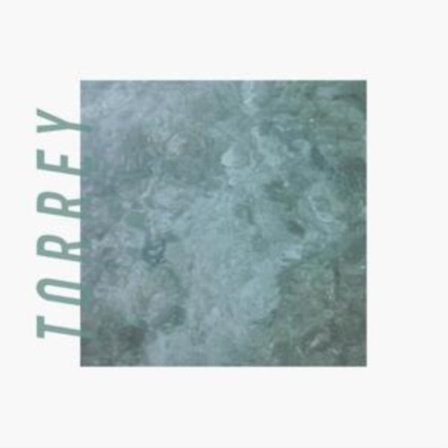 Audio Torrey Torrey