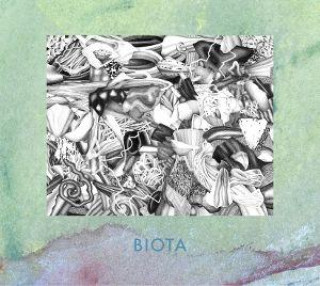 Audio Measured Not Found Biota