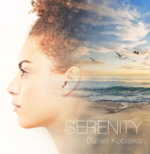 Audio Serenity Various Artists