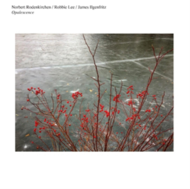 Audio Opalescence Norbert Rodenkirchen/Robbie Lee/James Ilgenfritz