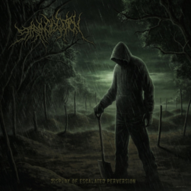 Audio Display of Escalated Perversion Strangulation