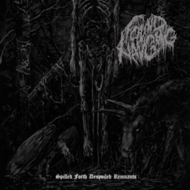 Audio Spilled Forth Despoiled Remnants Found Hanging