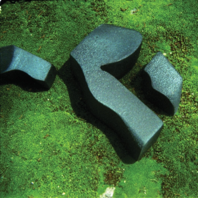 Audio Heart Pressed Between Stones Camila Fuchs