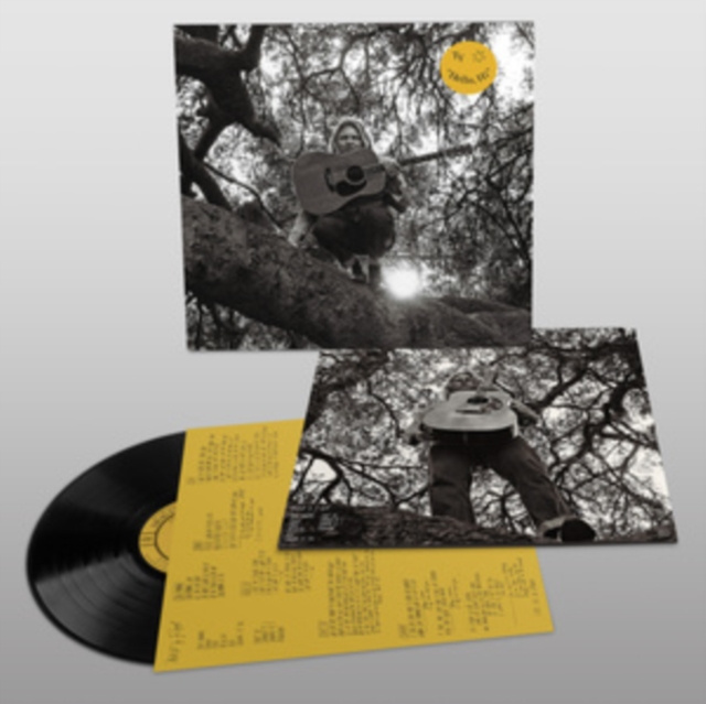 Audio Hello, Hi Ty Segall